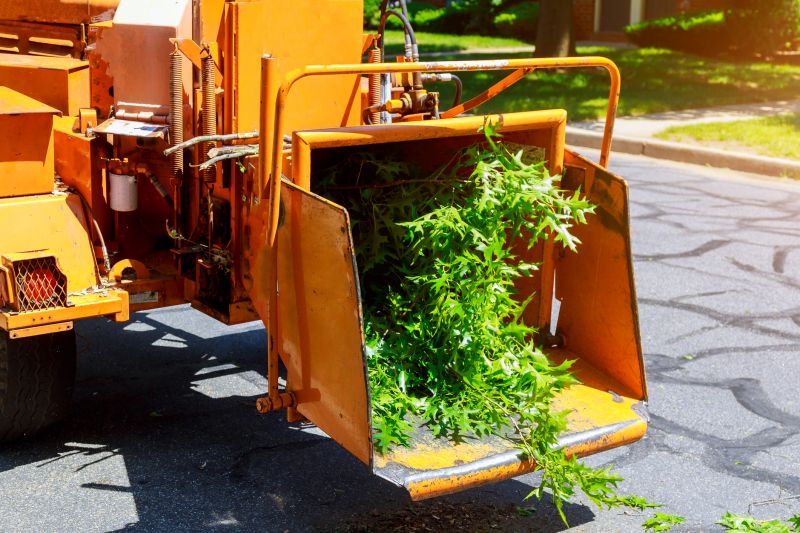 Shrub Removal Service