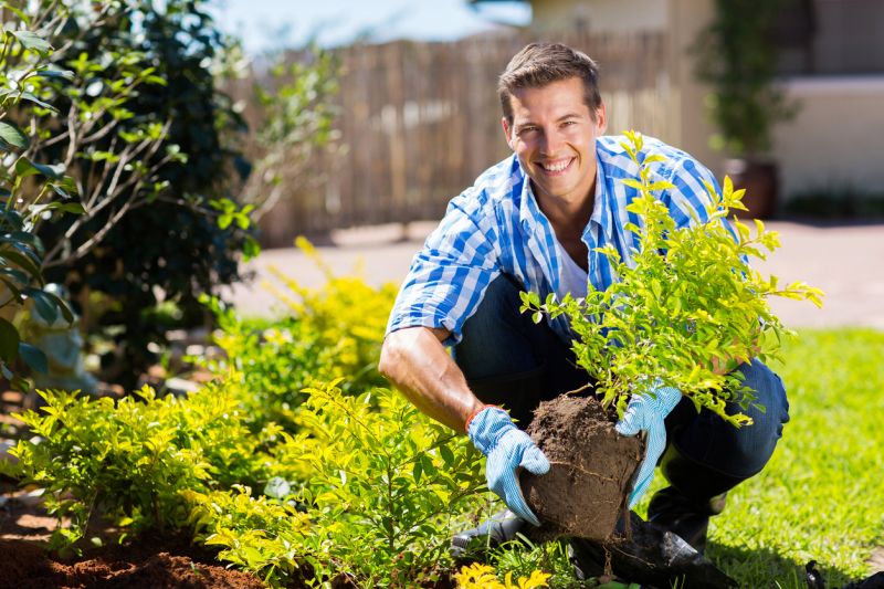 Shrub Removal Service