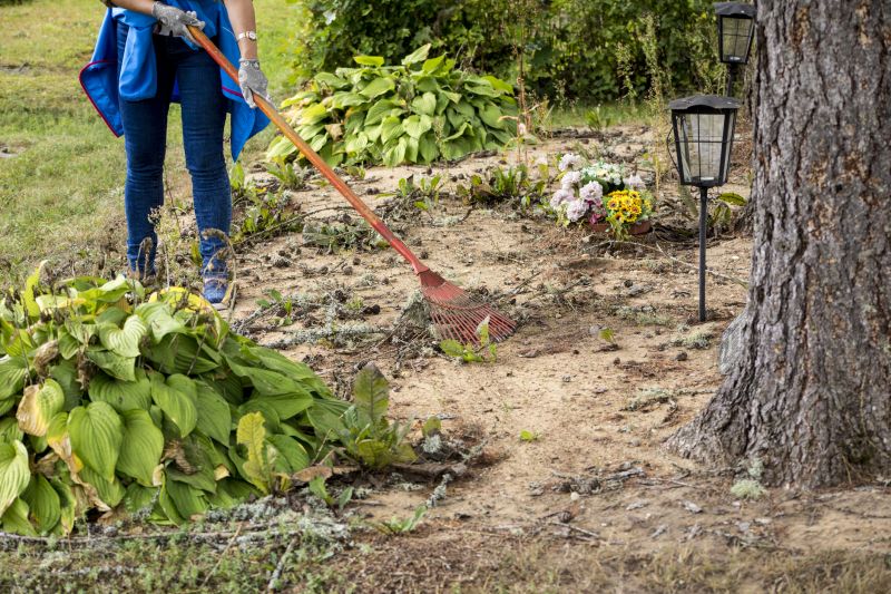 Shrub Removal Service