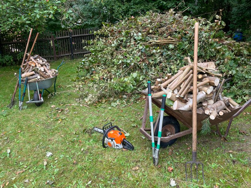 Shrub Removal Service