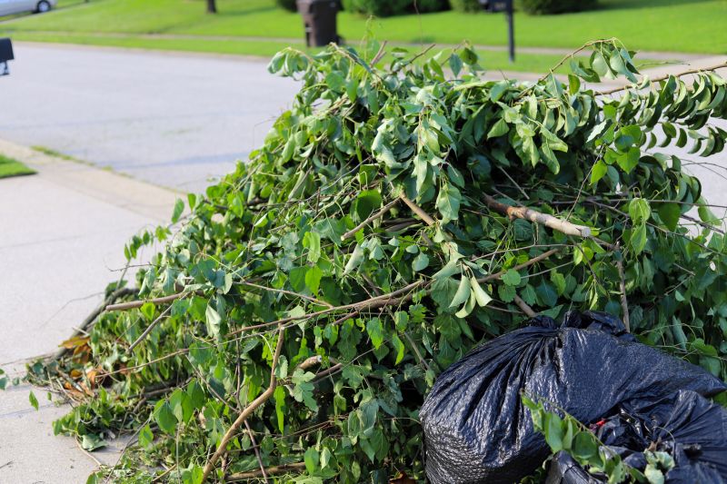 Shrub Removal Cost Guide — Cost of Shrub Removal Service