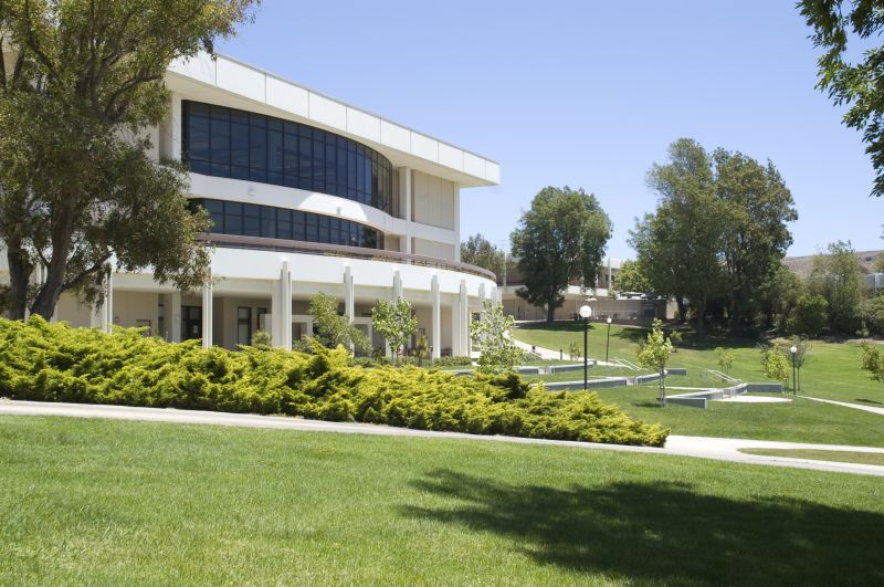 Shrub Removal Cost Guide — Cost of Shrub Removal Service