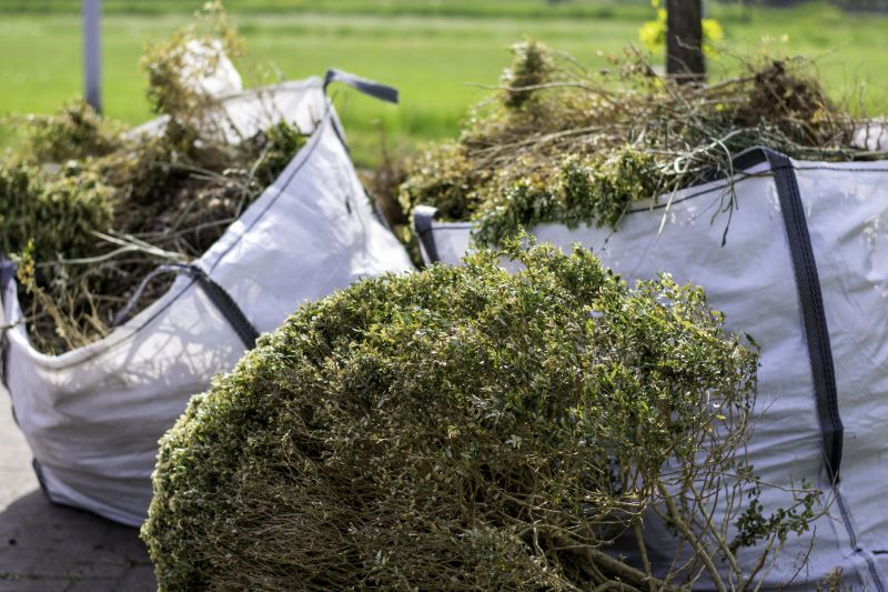 Shrub Removal Cost Guide — Cost of Shrub Removal Service