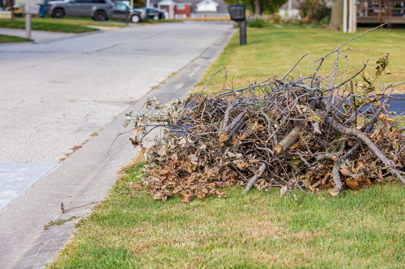 Shrub Removal Service