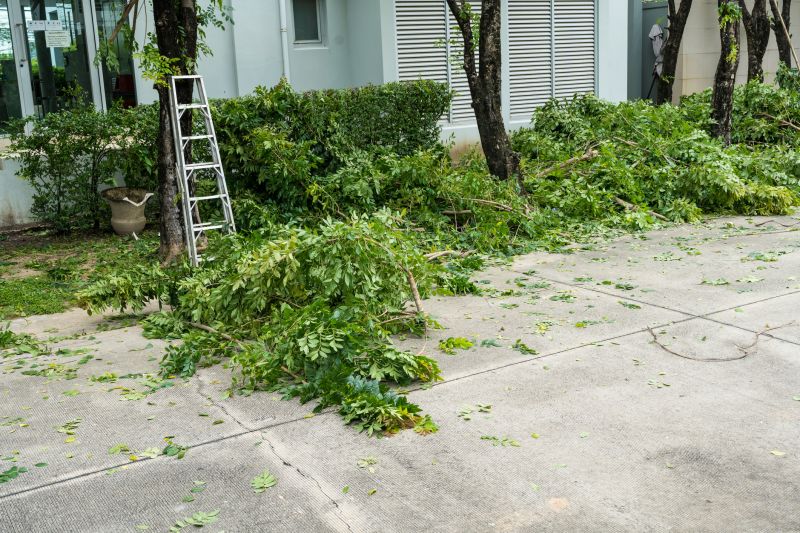 Shrub Removal Service