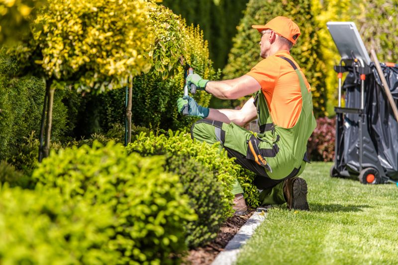 Full-Service Landscaping Companies