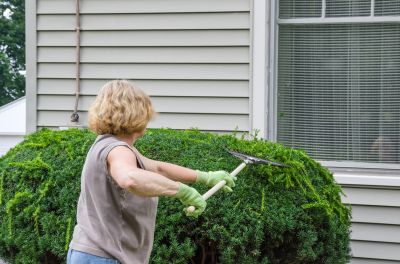 Increase Property Value with Shrub Removal Service!
