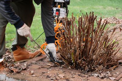Get Shrub Removal for Your Residential or Commercial Property!